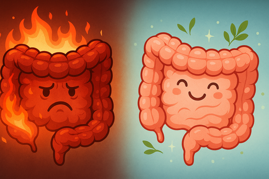 The Gut Healing Routine That Changed Everything For Me