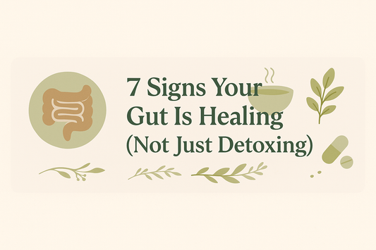 Seven early signs your gut is actually healing and not just detoxing