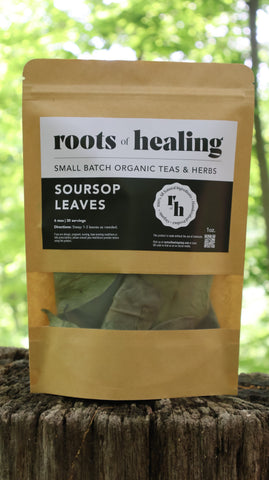 Organic Soursop Leaf Tea