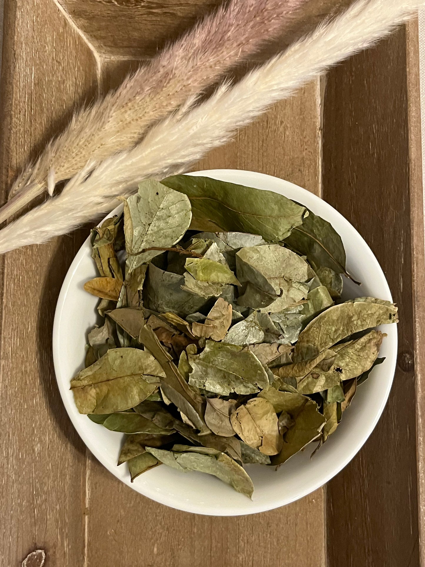 Organic Soursop Leaf Tea